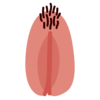 Adrienne%20 %20flirtmoji